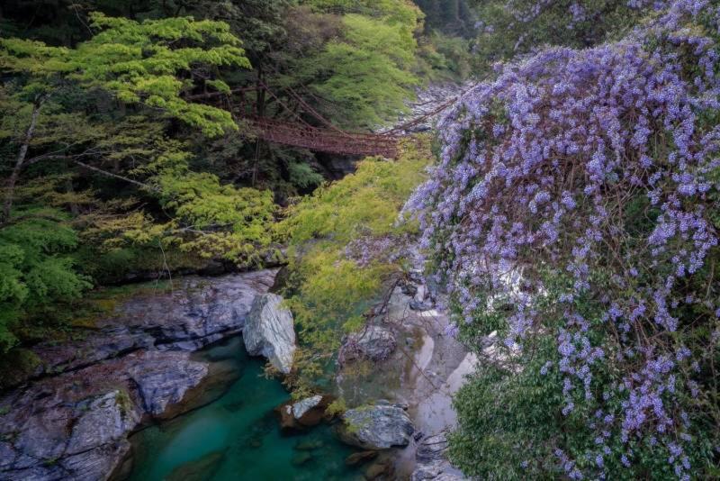 四国旅行のhub拠点 古民家ゲストハウス Heso Camp Miyoshi  Dış mekan fotoğraf